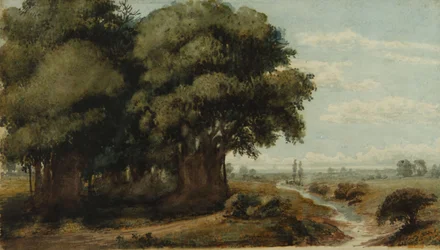 Caprocho (Olivos 13. november 1858)